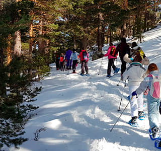 Raquetas de esquí nieve en Madrid, escolares y grupos