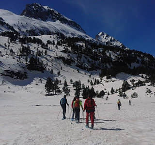 Raquetas de esquí nieve en Pirineos, escolares y grupos